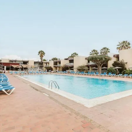 Descubre Tu Perfecta En La